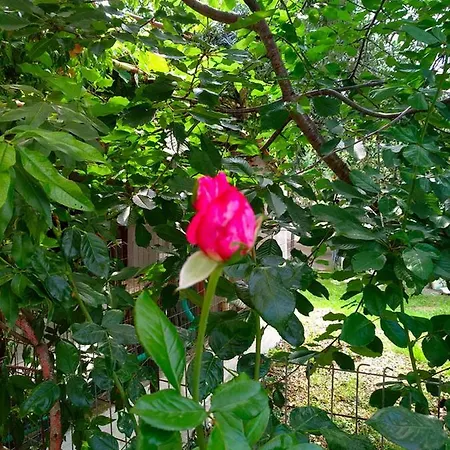 Our Parent's House. Family House For Rent Ferienhaus Skála Kallirákhis