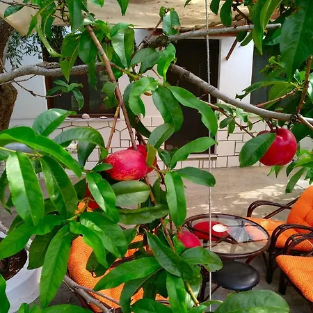 Our Parent's House. Family House For Rent בית נופש Skála Kallirákhis