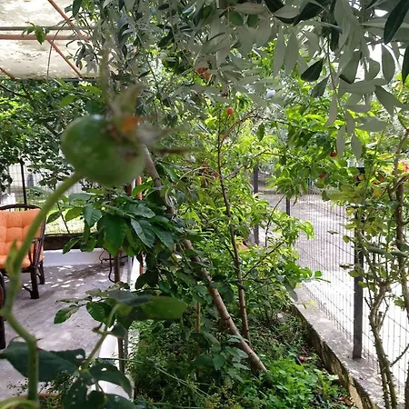 Our Parent's House. Family House For Rent בית נופש