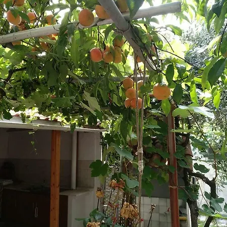 Our Parent's House. Family House For Rent בית נופש Skála Kallirákhis