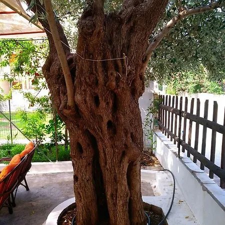 Our Parent's House. Family House For Rent בית נופש Skála Kallirákhis