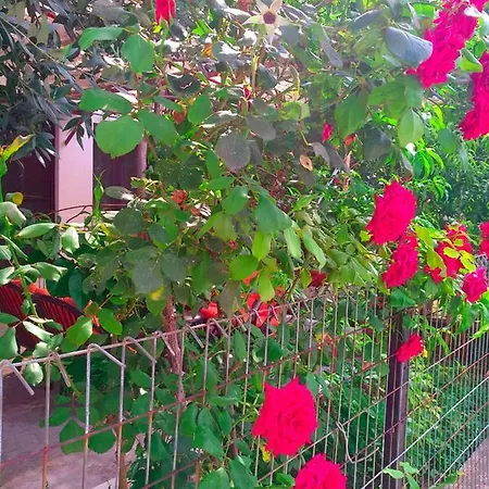 Our Parent's House. Family House For Rent * Σκάλα Καλλιράχης