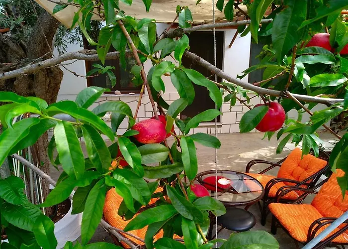 Our Parent's House. Family House For Rent Ferienhaus Skála Kallirákhis