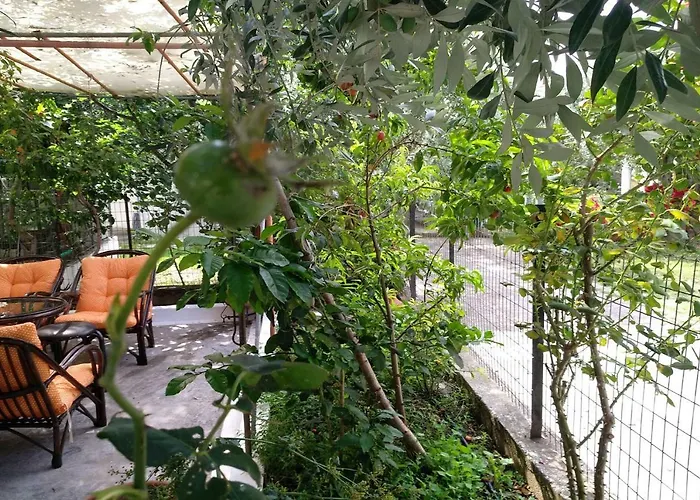 Our Parent's House. Family House For Rent Ferienhaus