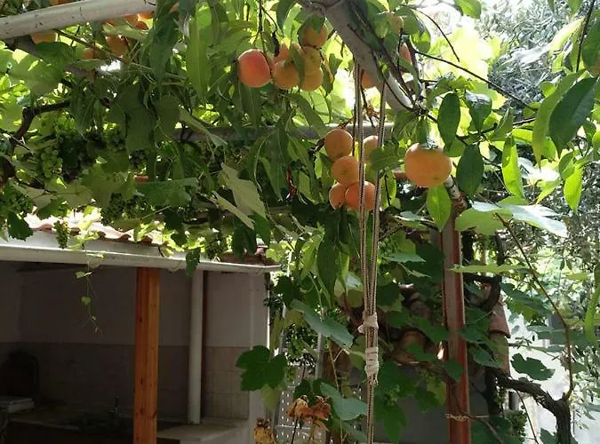 Our Parent's House. Family House For Rent Σπίτι διακοπών Σκάλα Καλλιράχης