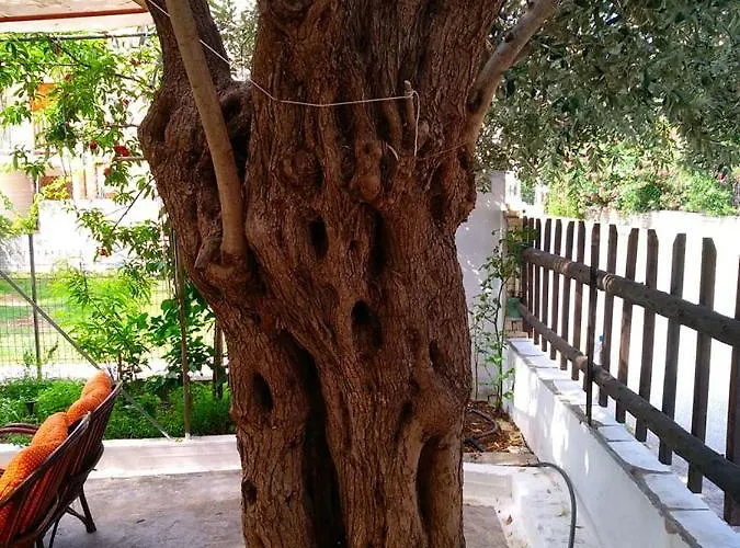 Our Parent's House. Family House For Rent Σπίτι διακοπών Σκάλα Καλλιράχης