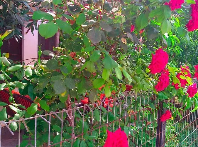 Our Parent's House. Family House For Rent * Σκάλα Καλλιράχης